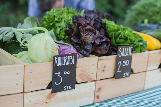 Kohlrabi STK