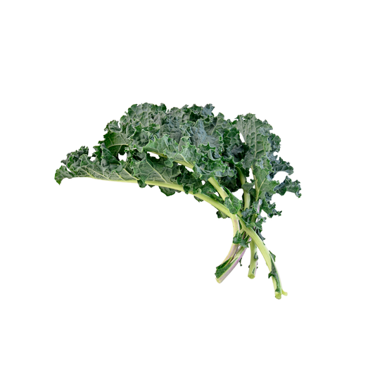 Federkohl Bund