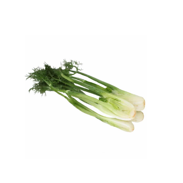 Fenchel