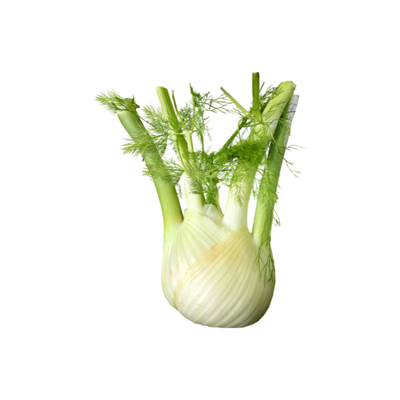 Suppenfenchel Restaurant