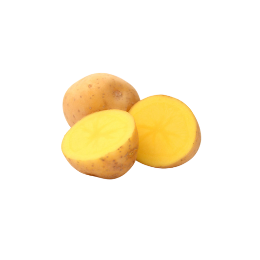 Herdöpfel Sunita 1KG