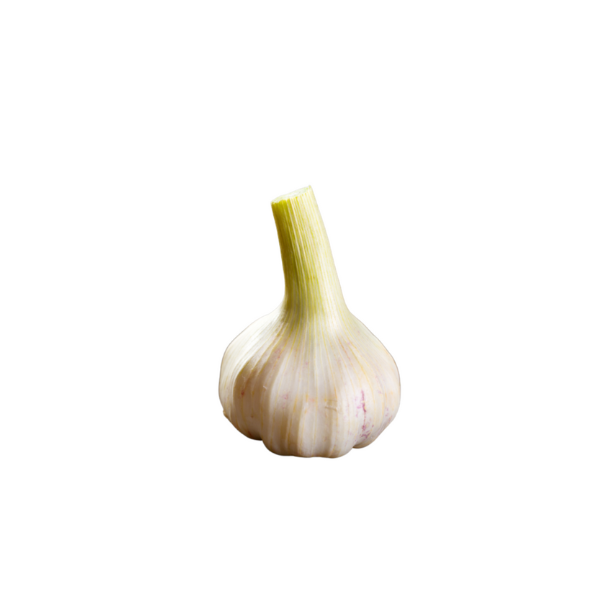 Knoblauch