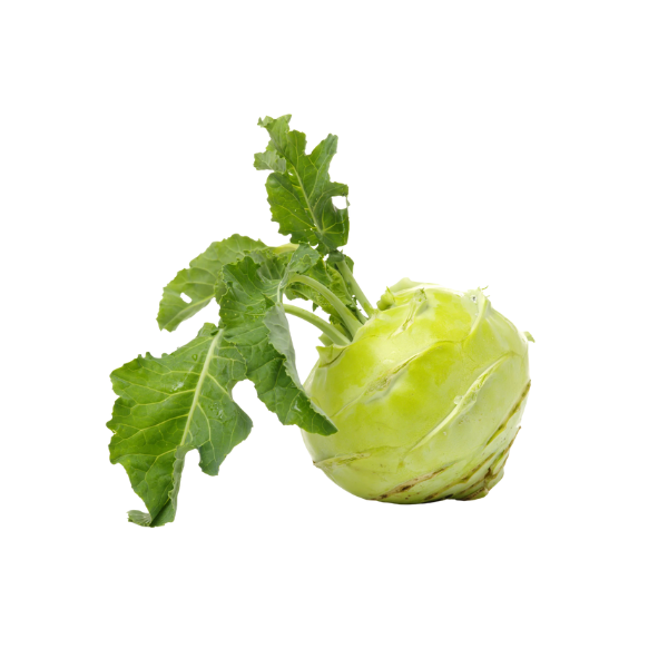 Kohlrabi STK