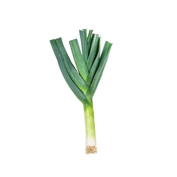 Lauch