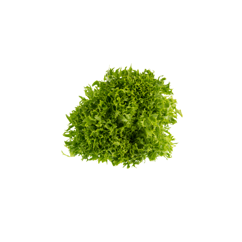 Salat