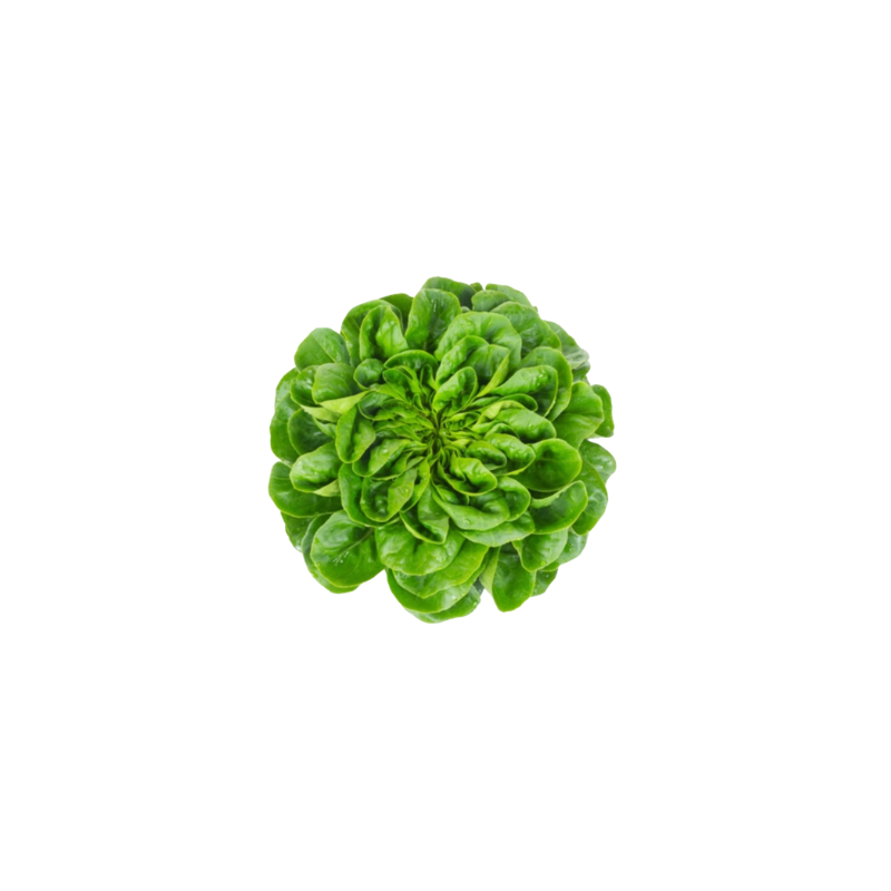 Salat