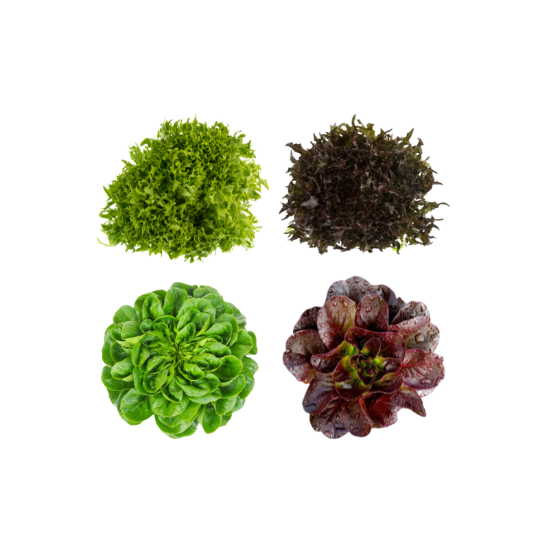 Salat