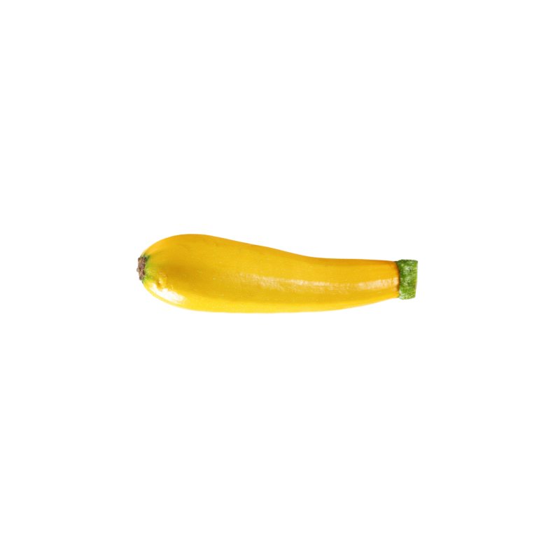 Zucchetti