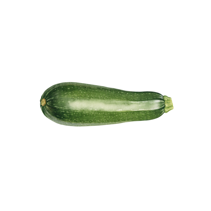 Zucchetti