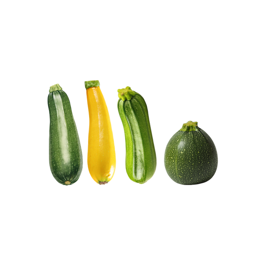 Zucchetti